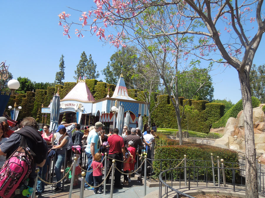 Disneyland Dumbo Ride Picture